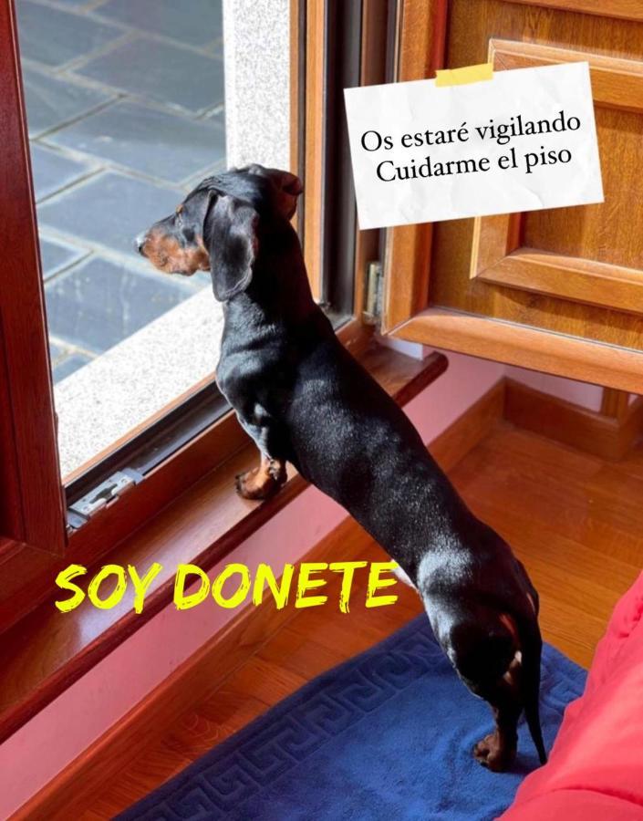 Fantastico En *